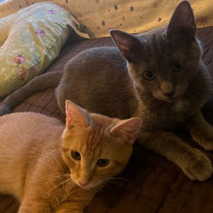 Meet your Posher, Karina